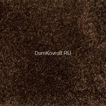 Бытовой Ковролин  длинноворсный Шагги sh/p 58(Coffee Milk)