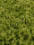 SHAGGY ULTRA S600 GREEN SHAGGY ULTRA S600 GREEN